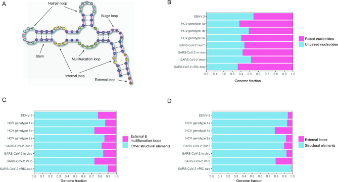 RNA secondary structure elements in viral genomes